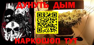 сатива Боровичи