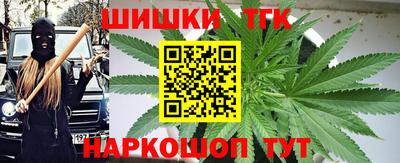 СК Брянск