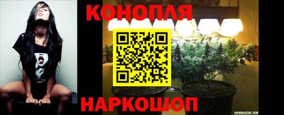 сатива Боровичи