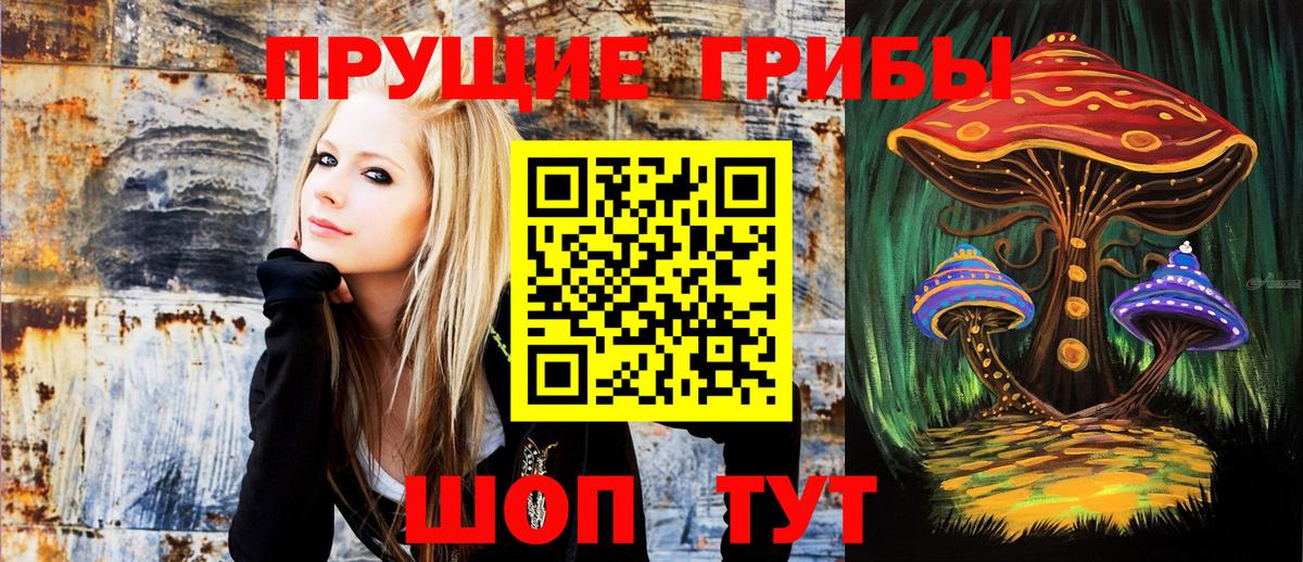 Псилоцибиновые грибы прущие грибы  Псилоцибиновые грибы мицелий  Вход с VPN  Артёмовский 
