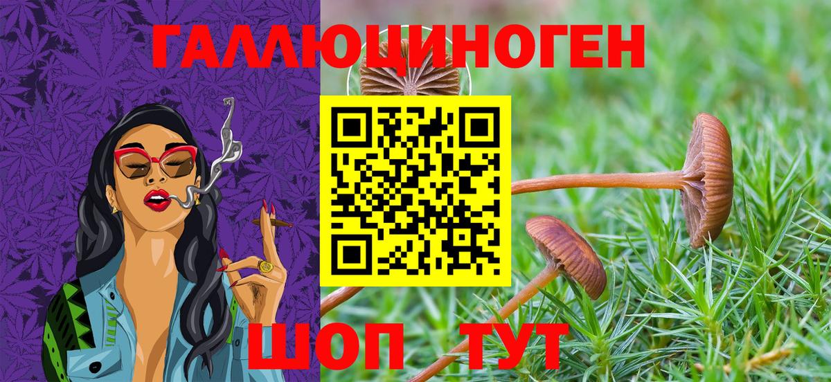 Галлюциногенные грибы мицелий Артёмовский